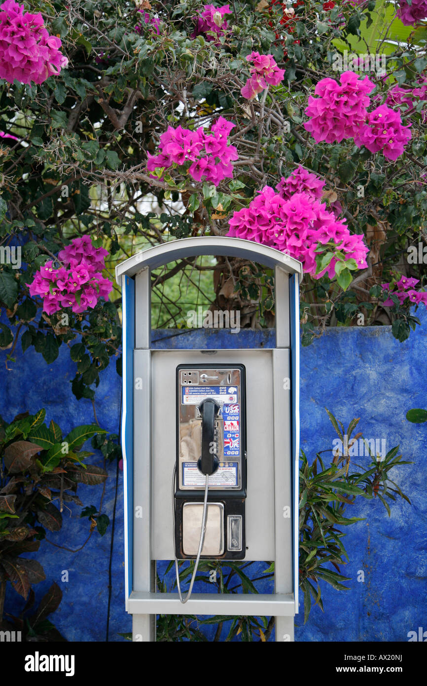 Telefono a pagamento, Playa del Carmen, Messico Foto Stock