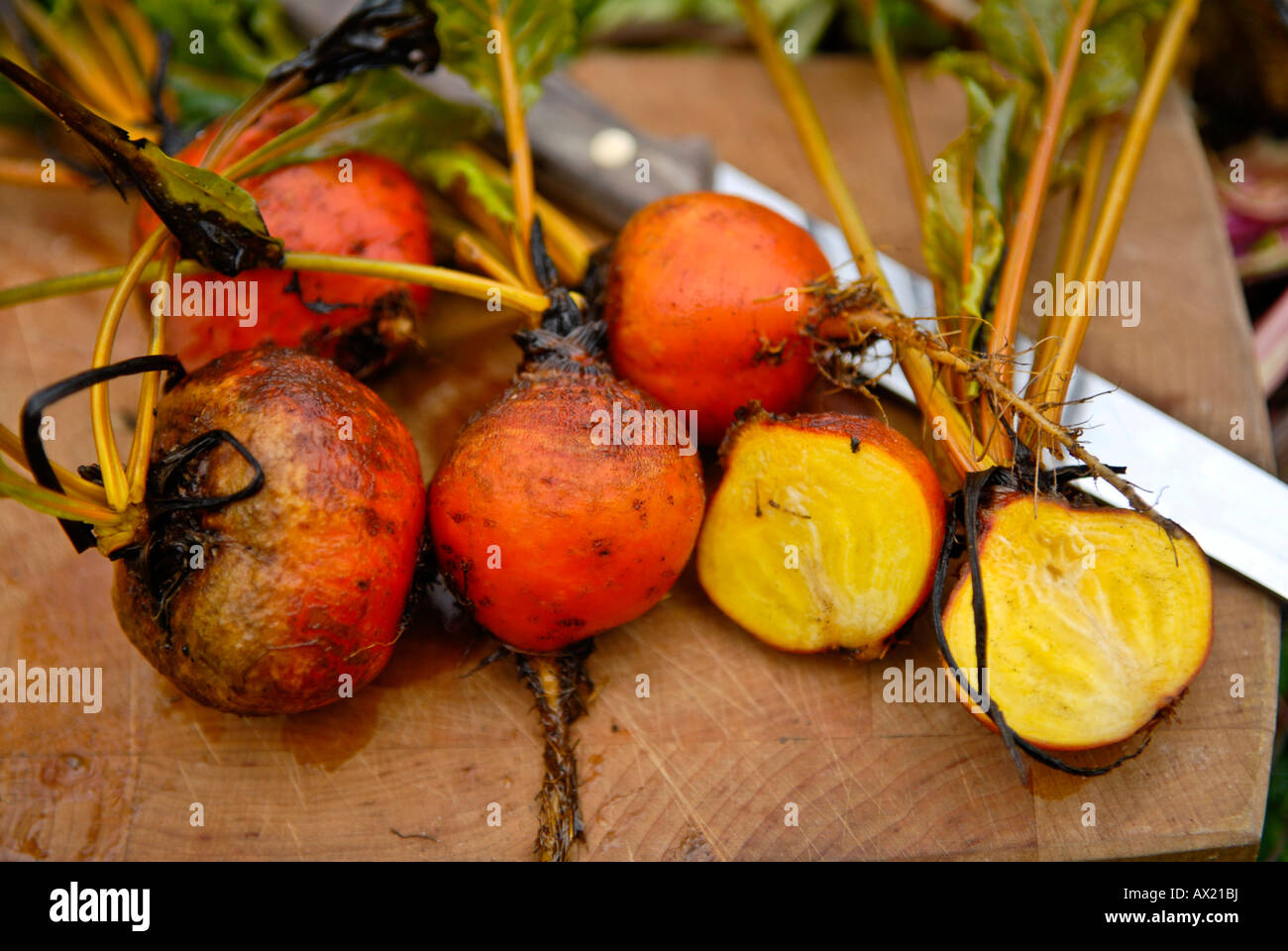 La barbabietola rossa (Beta vulgaris), lecca-lecca mix, appena raccolto e tagliata aperta Foto Stock