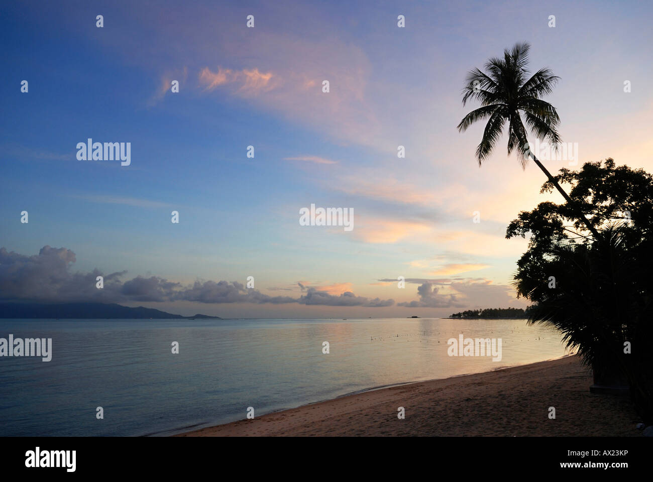 Sunrise presso la spiaggia e il palm tree, isola di Kho Samui, Tailandia Foto Stock