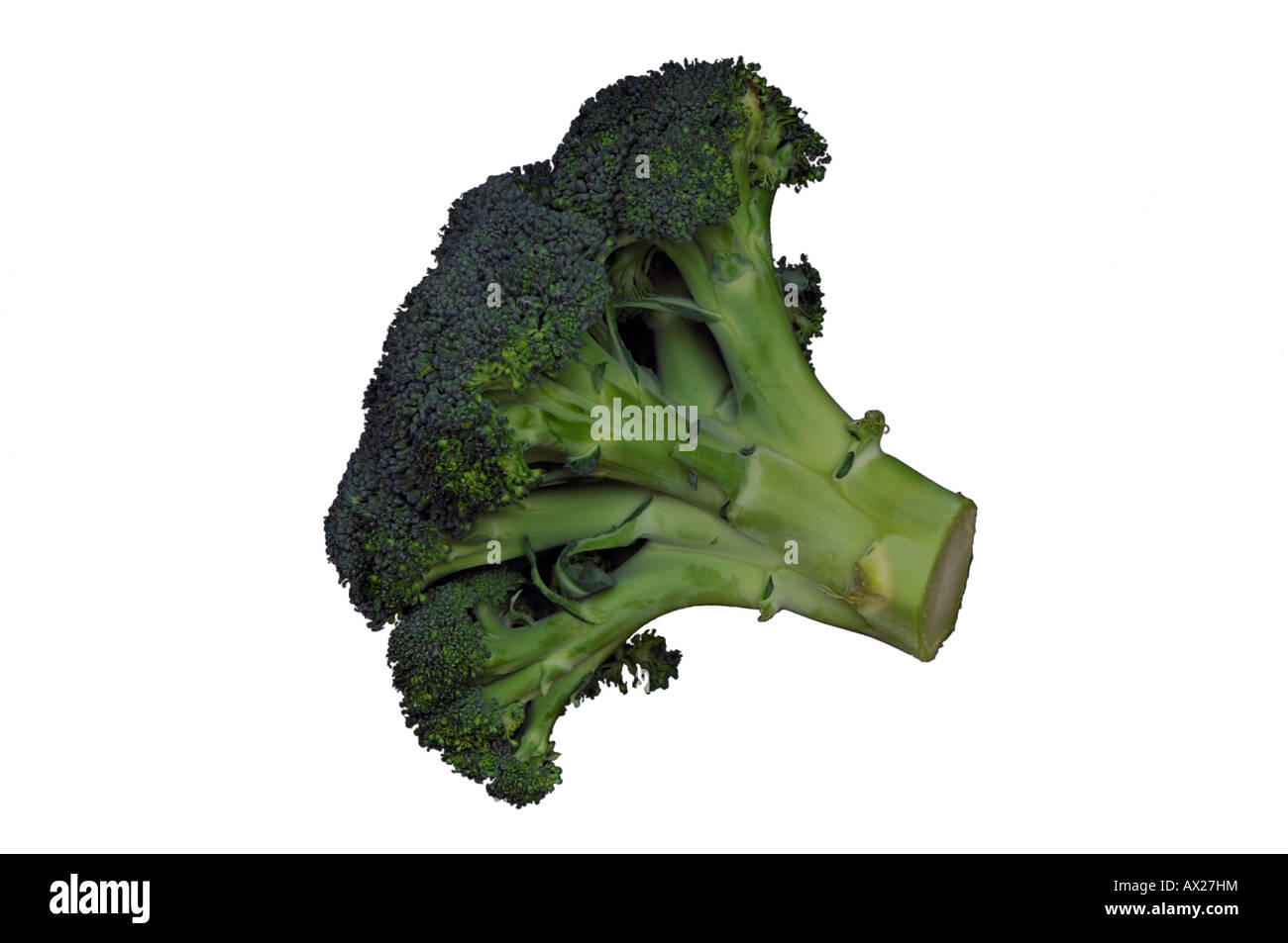 Testa di broccoli con sfondo bianco.3 Foto Stock