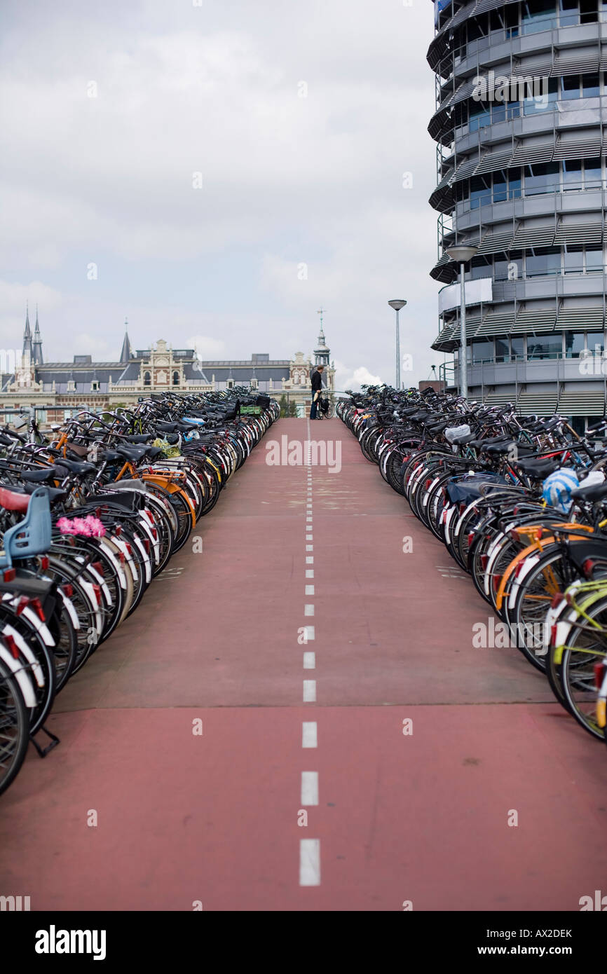 Molte biciclette parcheggiate sul lato destro e sul lato sinistro di un rosso contrassegnato con il passaggio di modo Foto Stock