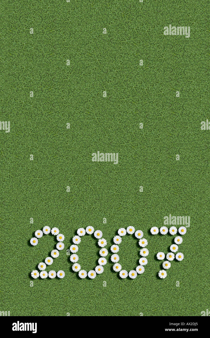 Anno 2007 scritto con fiori Foto Stock