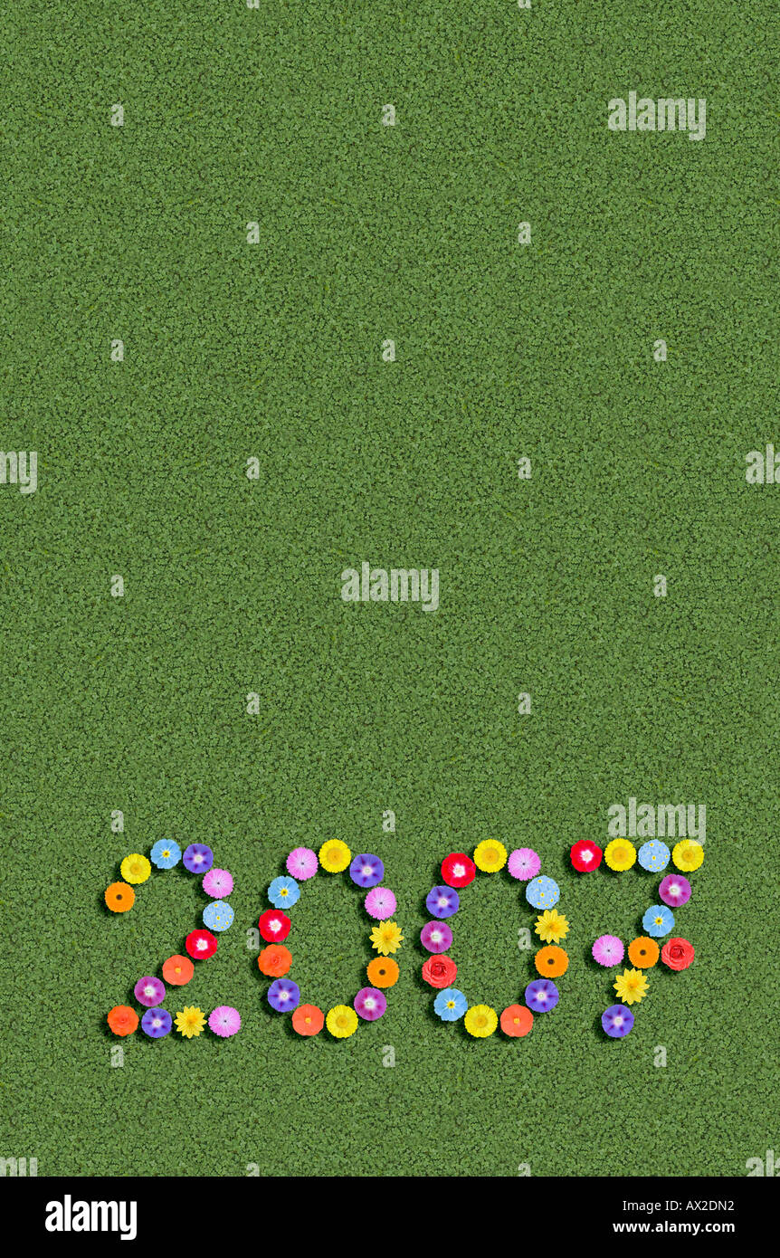 Anno 2007 scritto con fiori Foto Stock