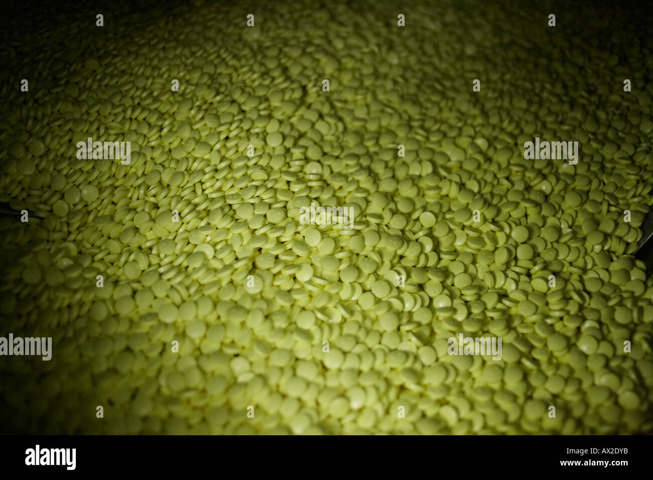 La droga impianto di fabbricazione Foto Stock