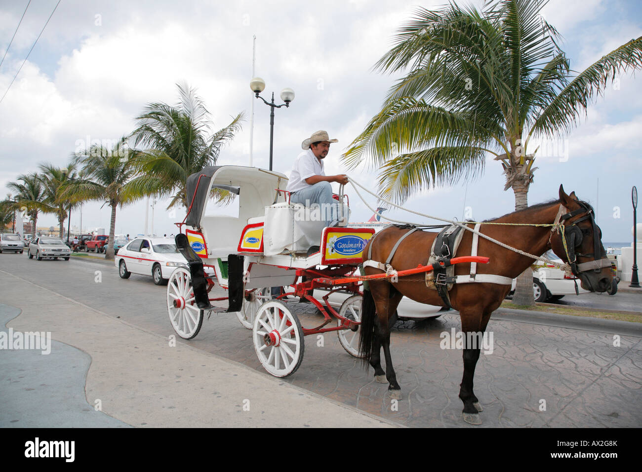 Cozumel, Messico, Cavallo e Carrozza Foto Stock