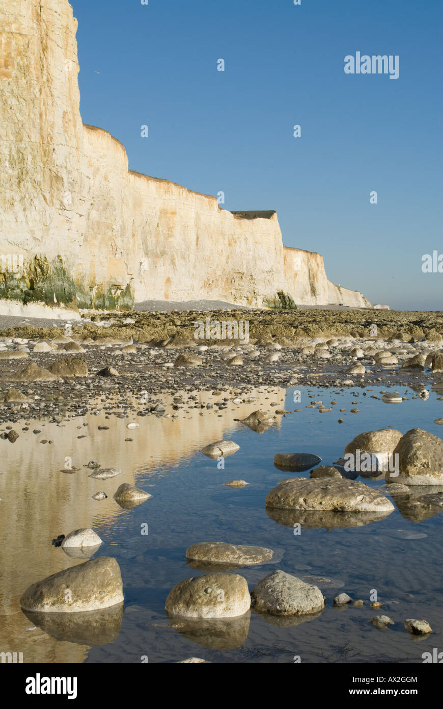 La bassa marea bassa e pomeriggio di sole sulle bianche scogliere a Telscombe vicino a Brighton East Sussex England 2008 Foto Stock