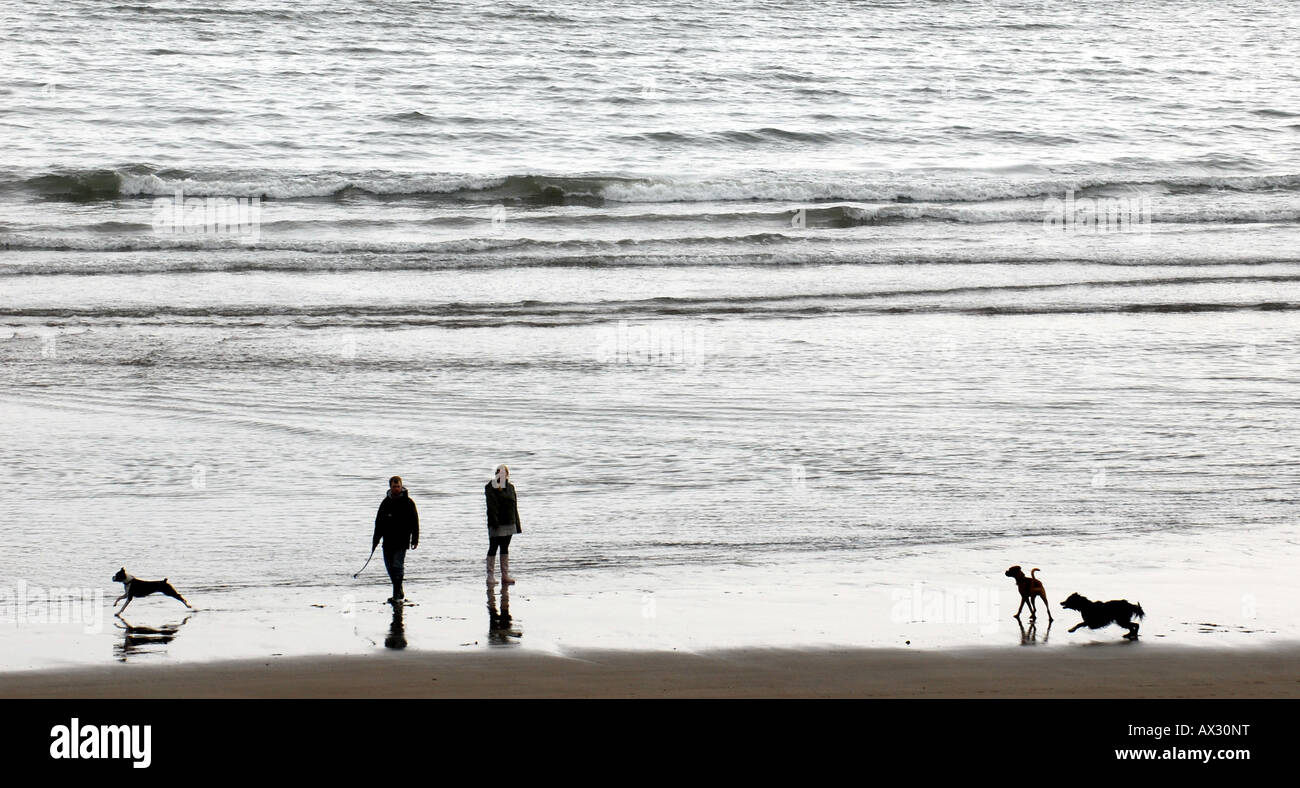 DOG WALKERS su una sera passeggiata sulla spiaggia a BIGBURY sul mare,Devon, Regno Unito. Foto Stock