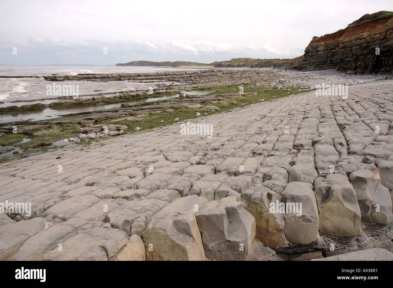 Un SSSI geologico a Kilve Beach in North Somerset con piattaforme di calcare Foto Stock