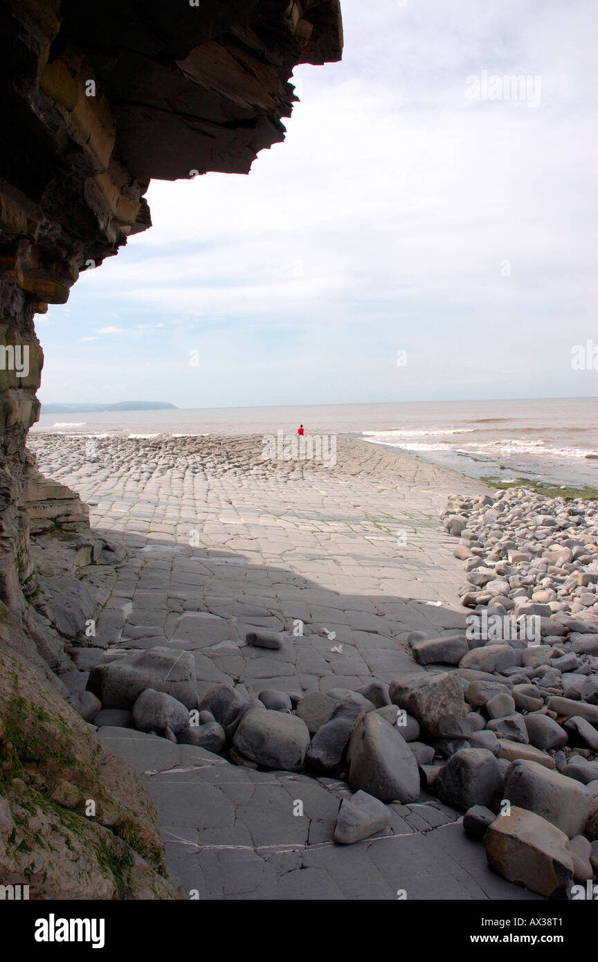 Un SSSI geologico a Kilve Beach in North Somerset con taglio a onda piattaforme di calcare Foto Stock