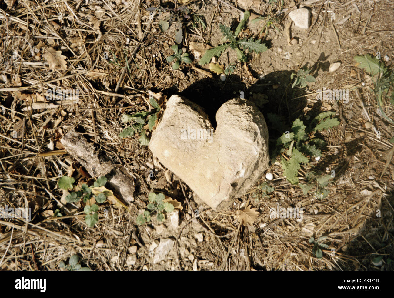 A forma di cuore ad rock Foto Stock
