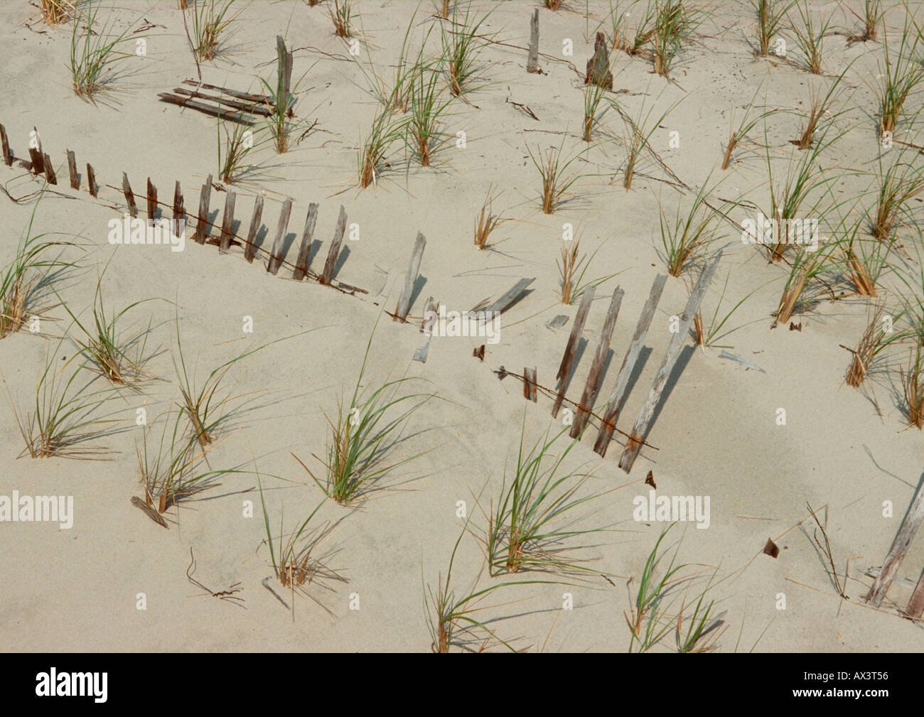 Vecchia staccionata in legno in esecuzione attraverso la duna di sabbia Foto Stock