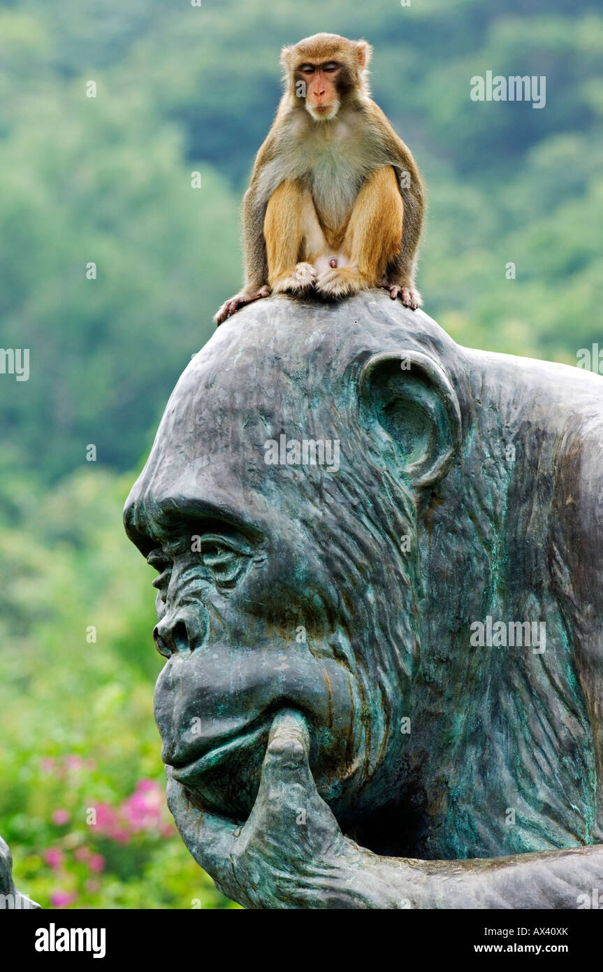 Cina, Hainan Provincia, Hainan Island, Monkey Island Research park - un gorilla di statua. Foto Stock