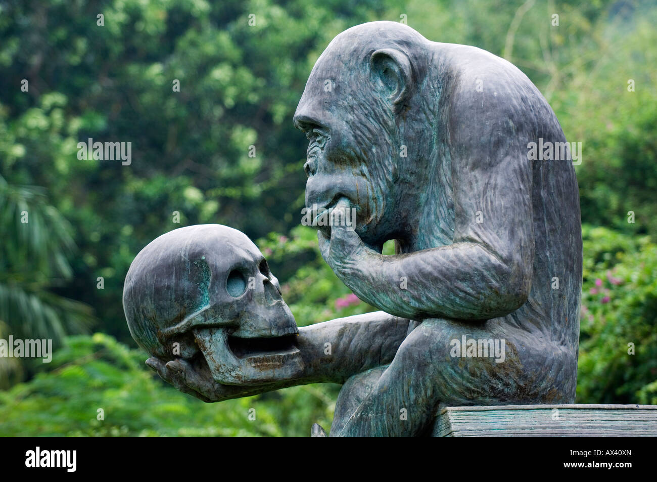 Cina, Hainan Provincia, Hainan Island, Monkey Island Research park - un gorilla di statua. Foto Stock