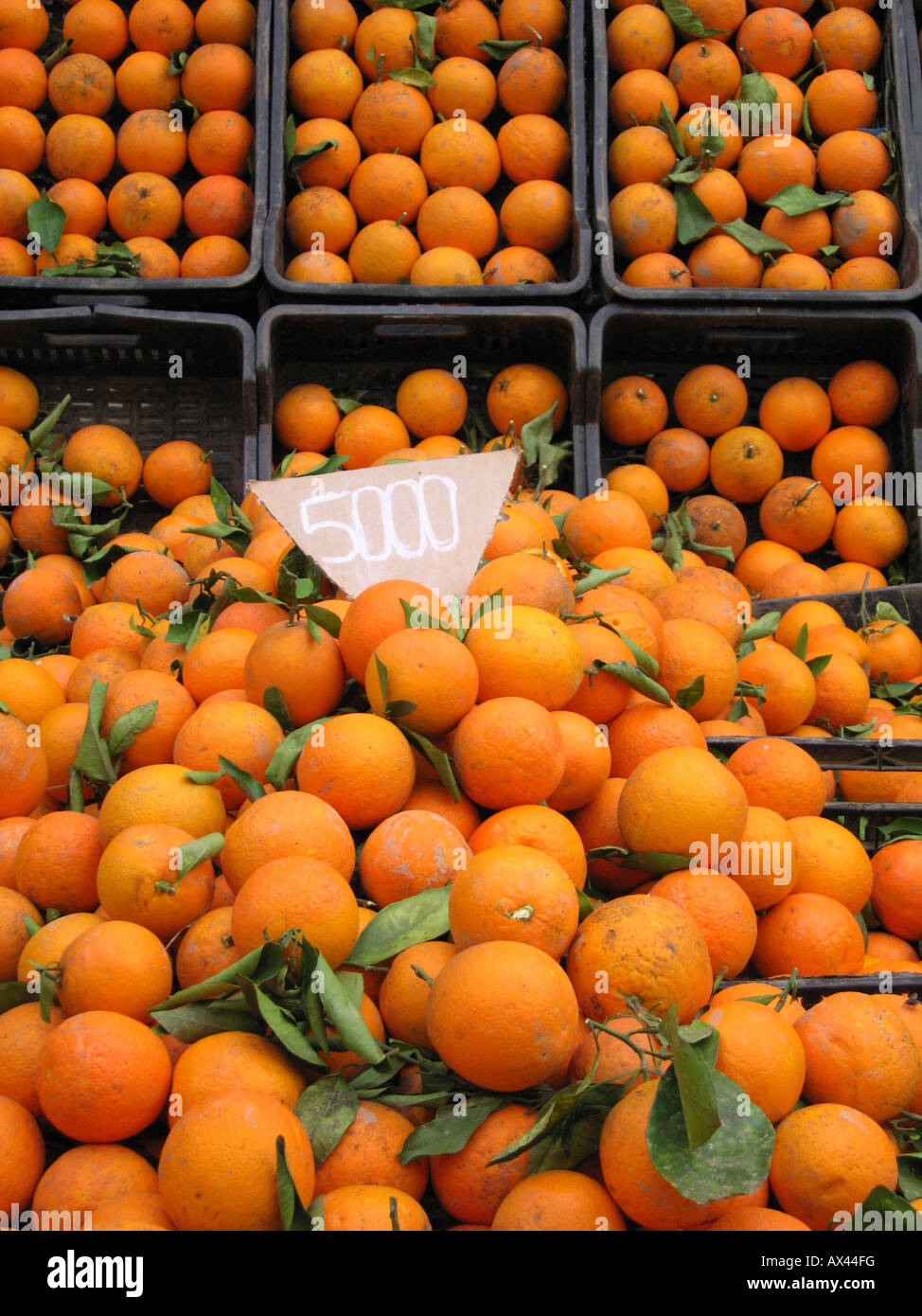Locali di frutti di colore arancione su un cavalletto di sostegno del mercato. Cherchell , cittadina algerina, ad ovest di Algeri, Algeria, Africa Settentrionale Foto Stock