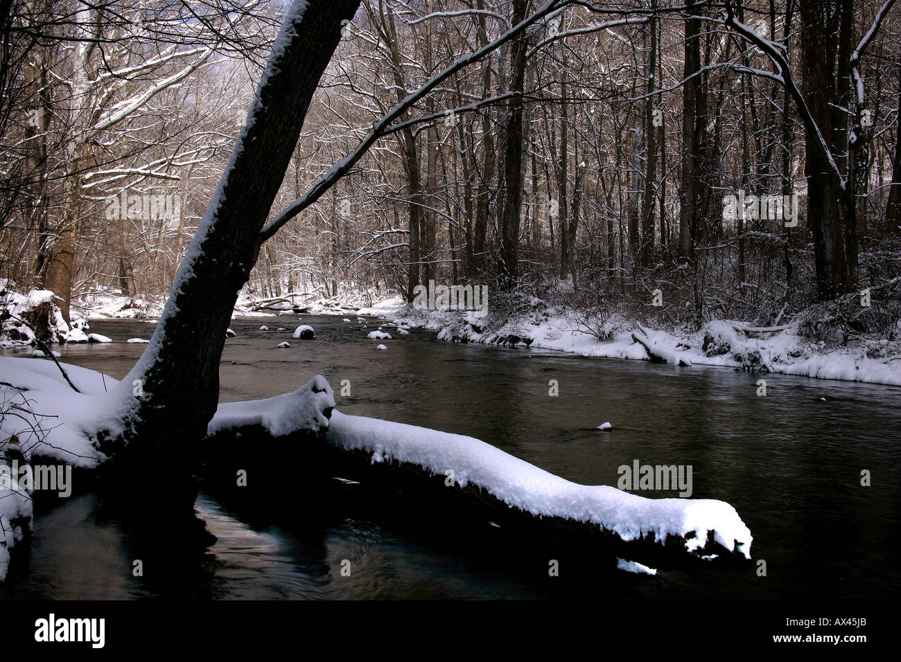 'Paesaggio invernale" Foto Stock