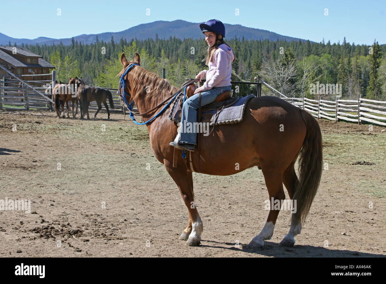 Ragazza giovane in sella ad un cavallo in stile occidentale Foto Stock