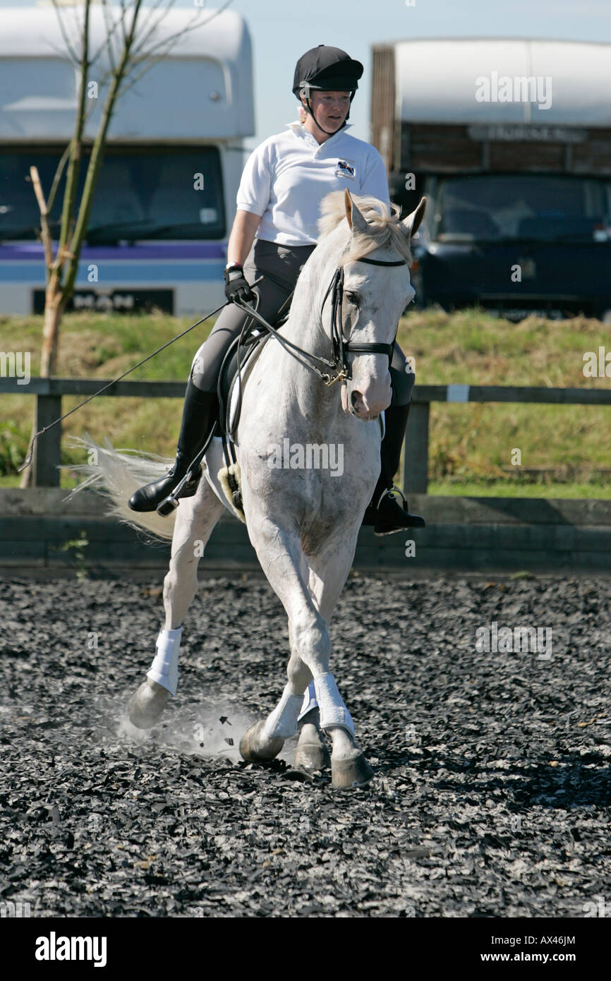 Una donna di scolarizzazione il suo cavallo all'aperto, in una scuola di equitazione. Foto Stock
