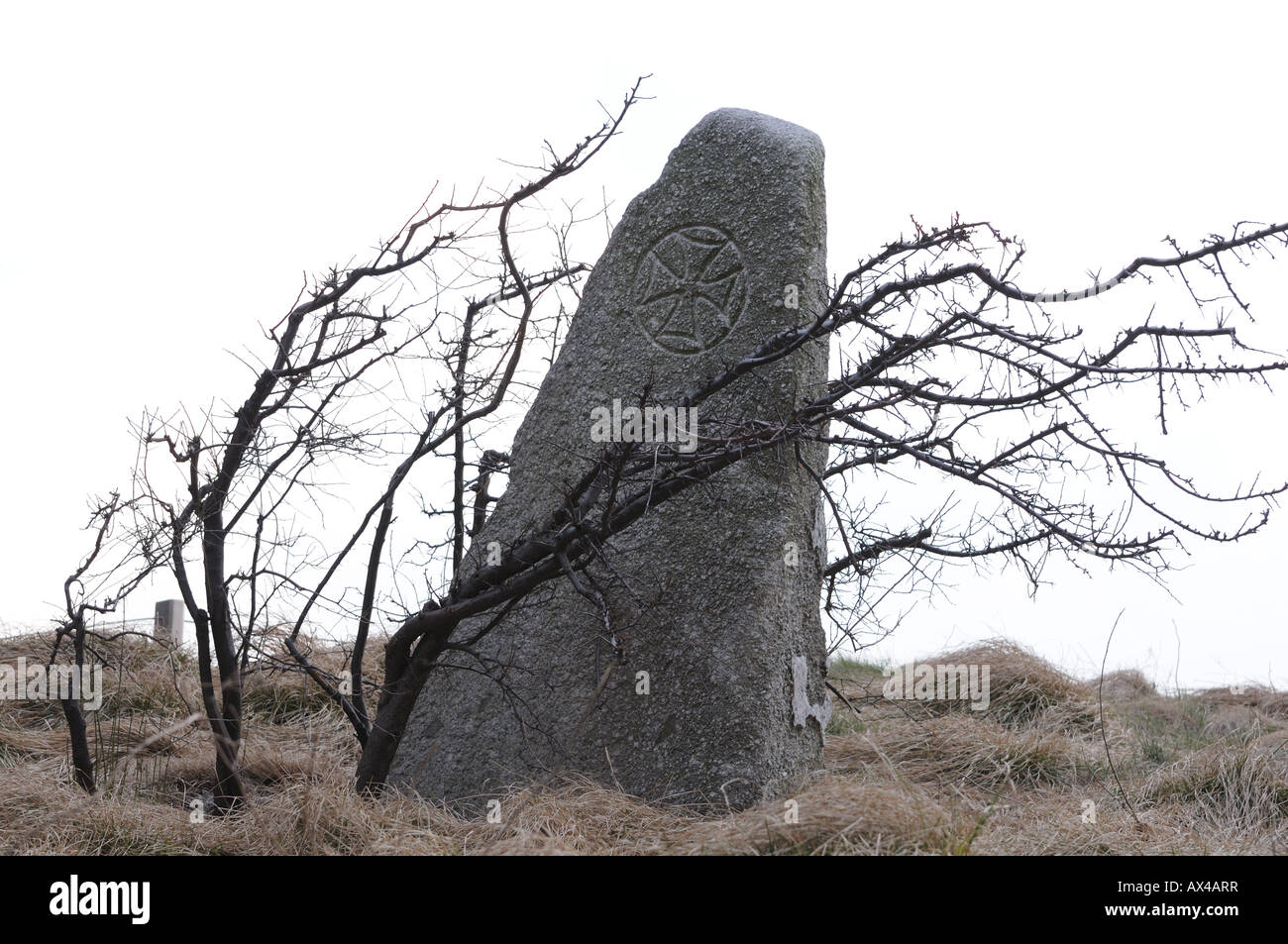 Un secolare pellegrini inscritto in pietra con una croce di archi è vicino alla parte superiore della fame irlandese Memorial in Battery Park City. Foto Stock