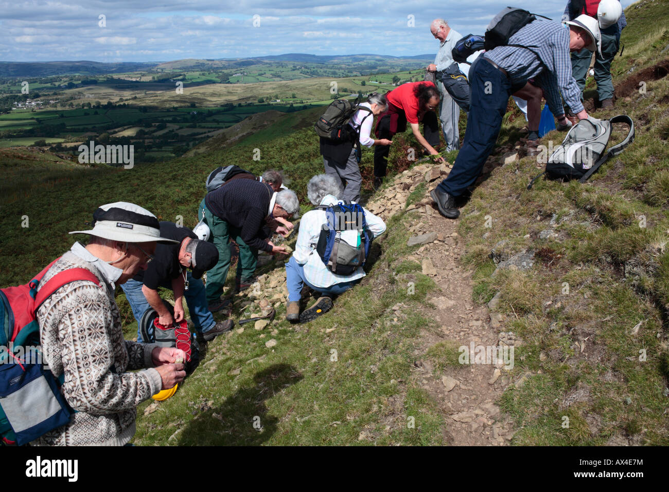 I membri di una Società Geologica alla ricerca di fossili. Rocce Llandegley, Powys, Wales, Regno Unito. Foto Stock