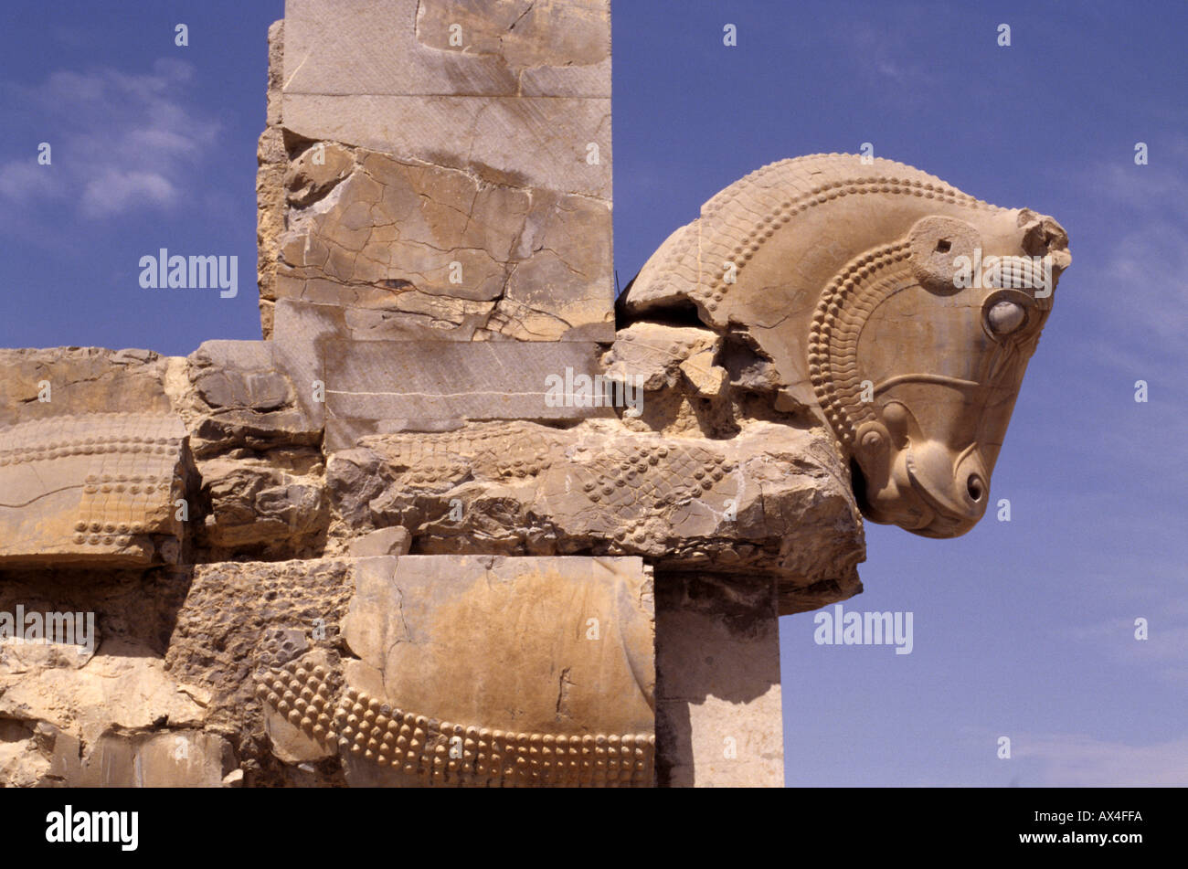 Iran Persepolis Copyright Sergio Pitamitz Foto Stock