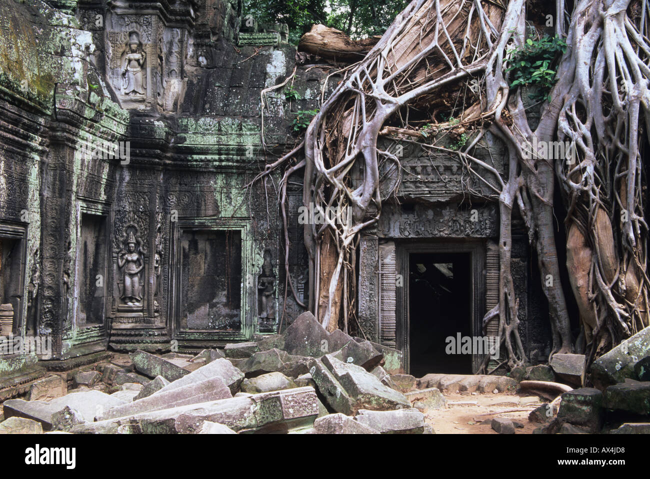 Ta Prohm è un tempio di Angkor in Siem Reap regione della Cambogia famosa per gli alberi crescono fuori delle rovine Foto Stock