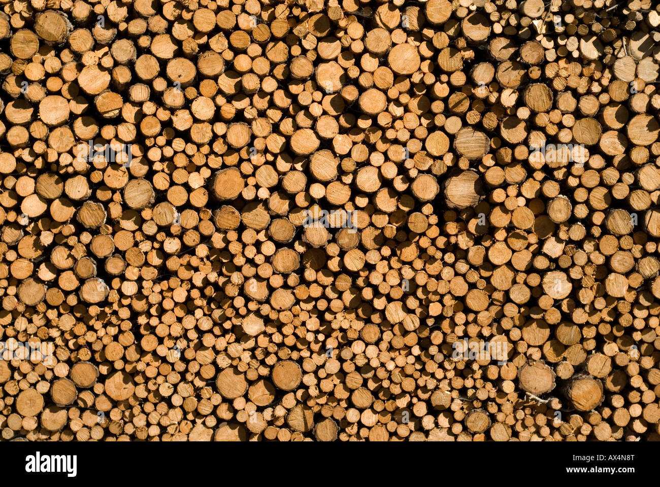 Catasta di legna da ardere al di fuori di un fienile in sudtirol Foto Stock