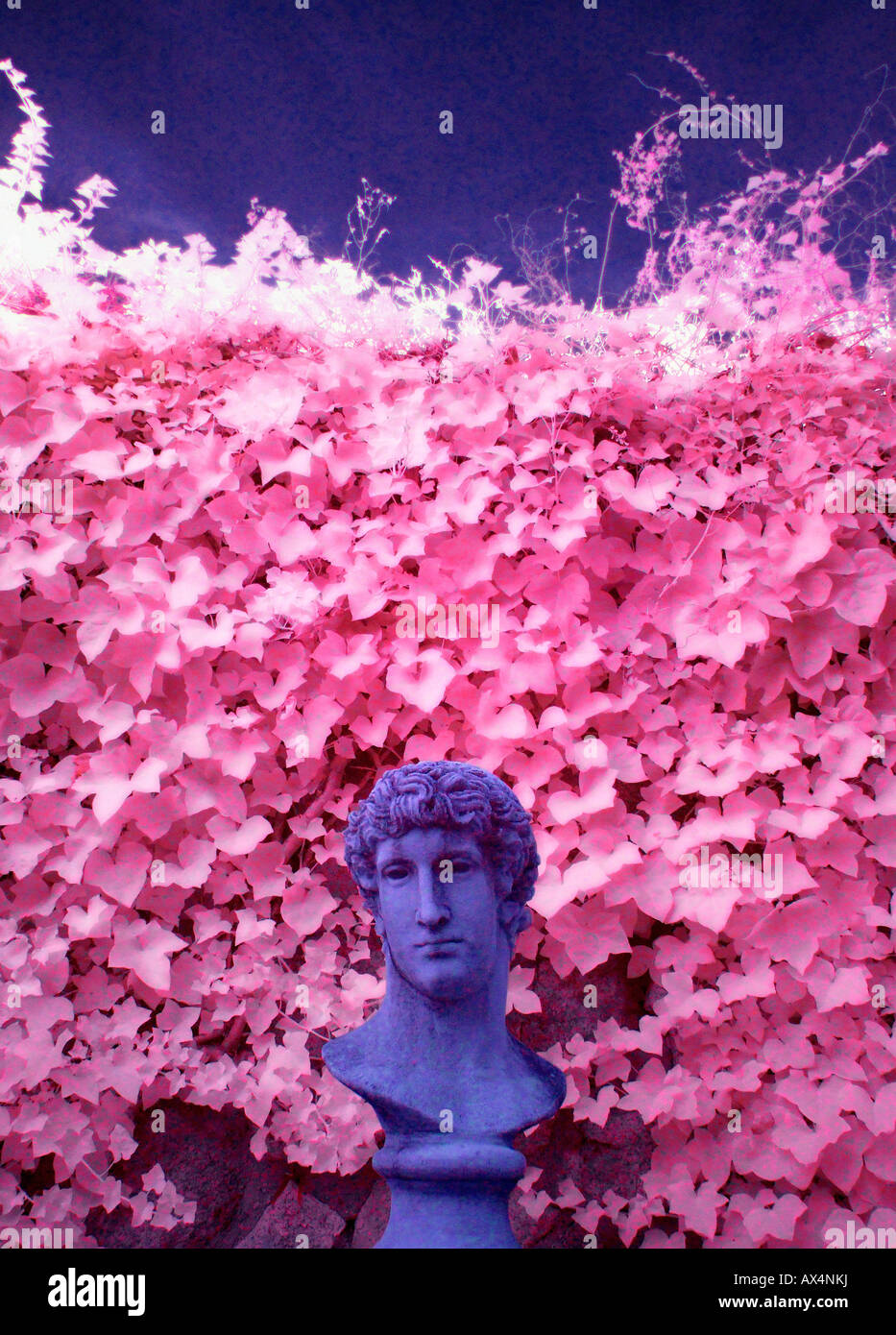 Giardino scultura in falsi colori infrarosso Foto Stock