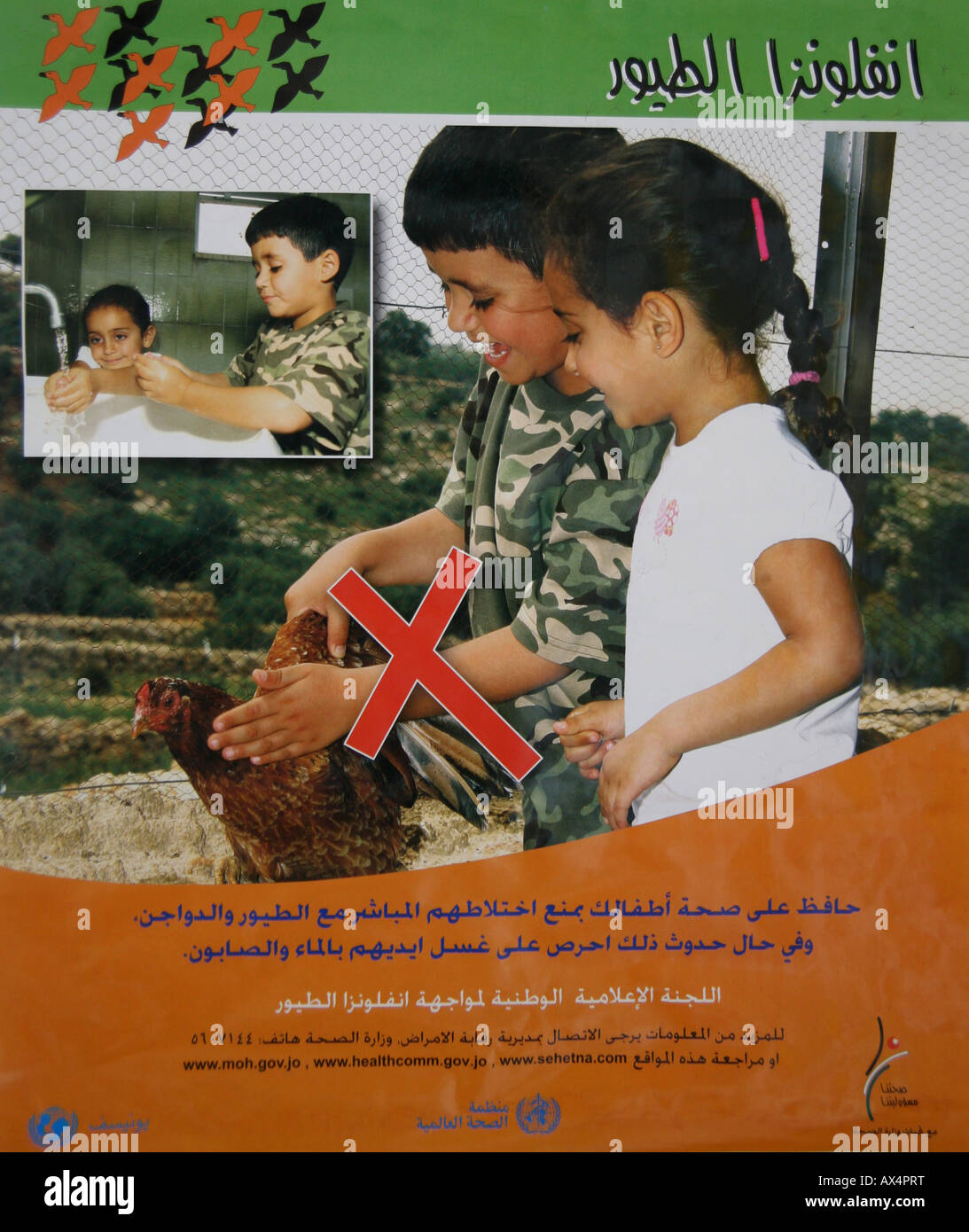 Una sanità pubblica poster su igiene e bestiame in Amman Foto Stock