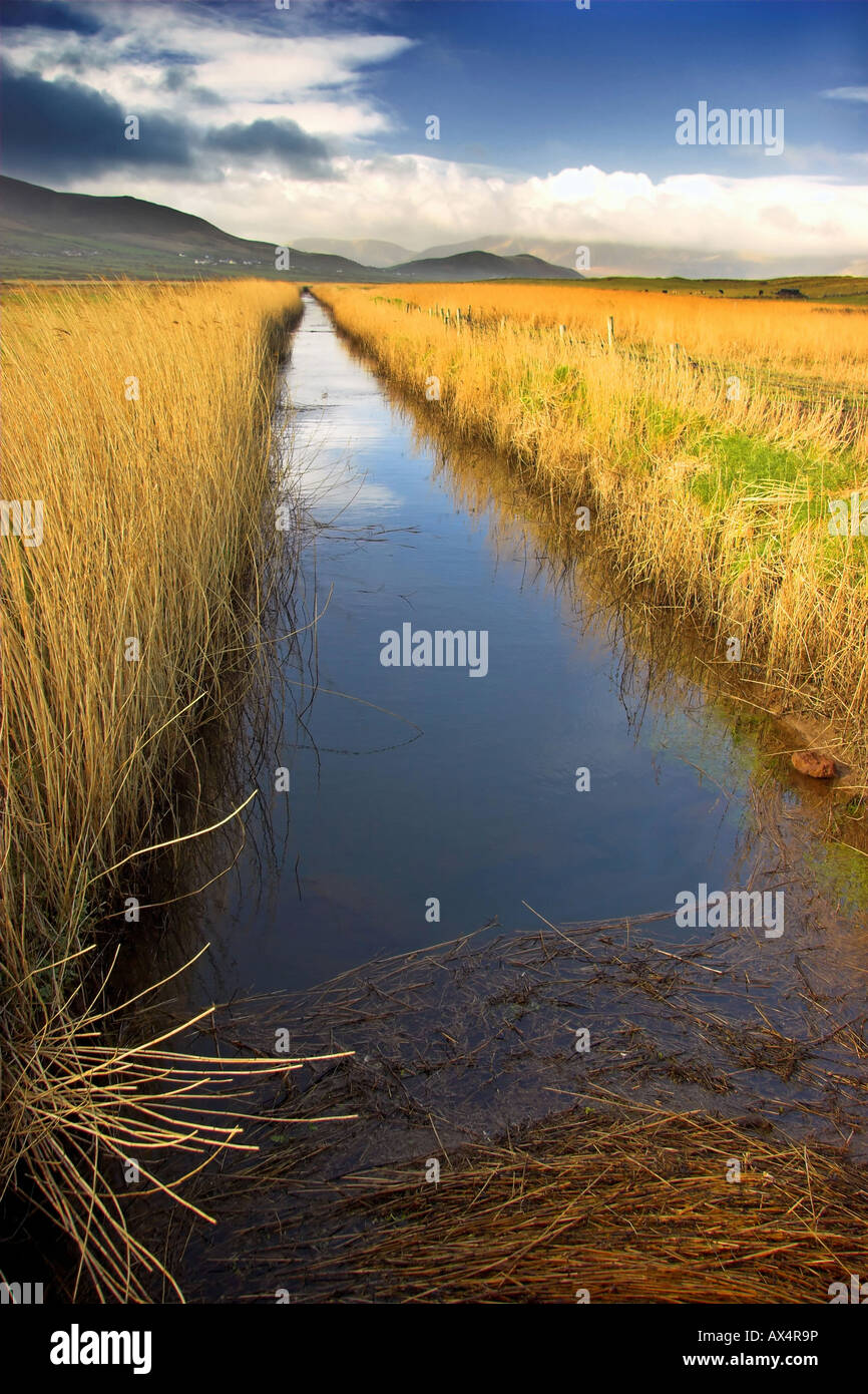Fiume e canne af colline ai piedi delle montagne di Kerry Foto Stock
