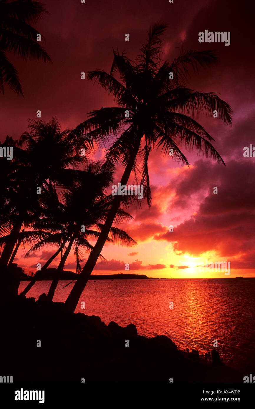 Bellissime Palme E Tramonto A Tumon Bay In Guam Un Territorio Usa Foto Stock Alamy