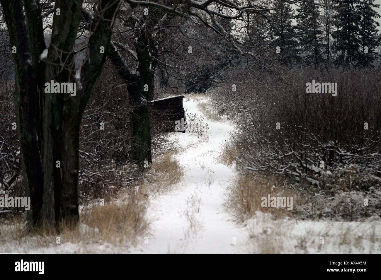 Immagini di paesaggio a colori di un vecchio frutteto abbandonato con capanne e annessi dopo una fresca caduta di neve. Foto Stock