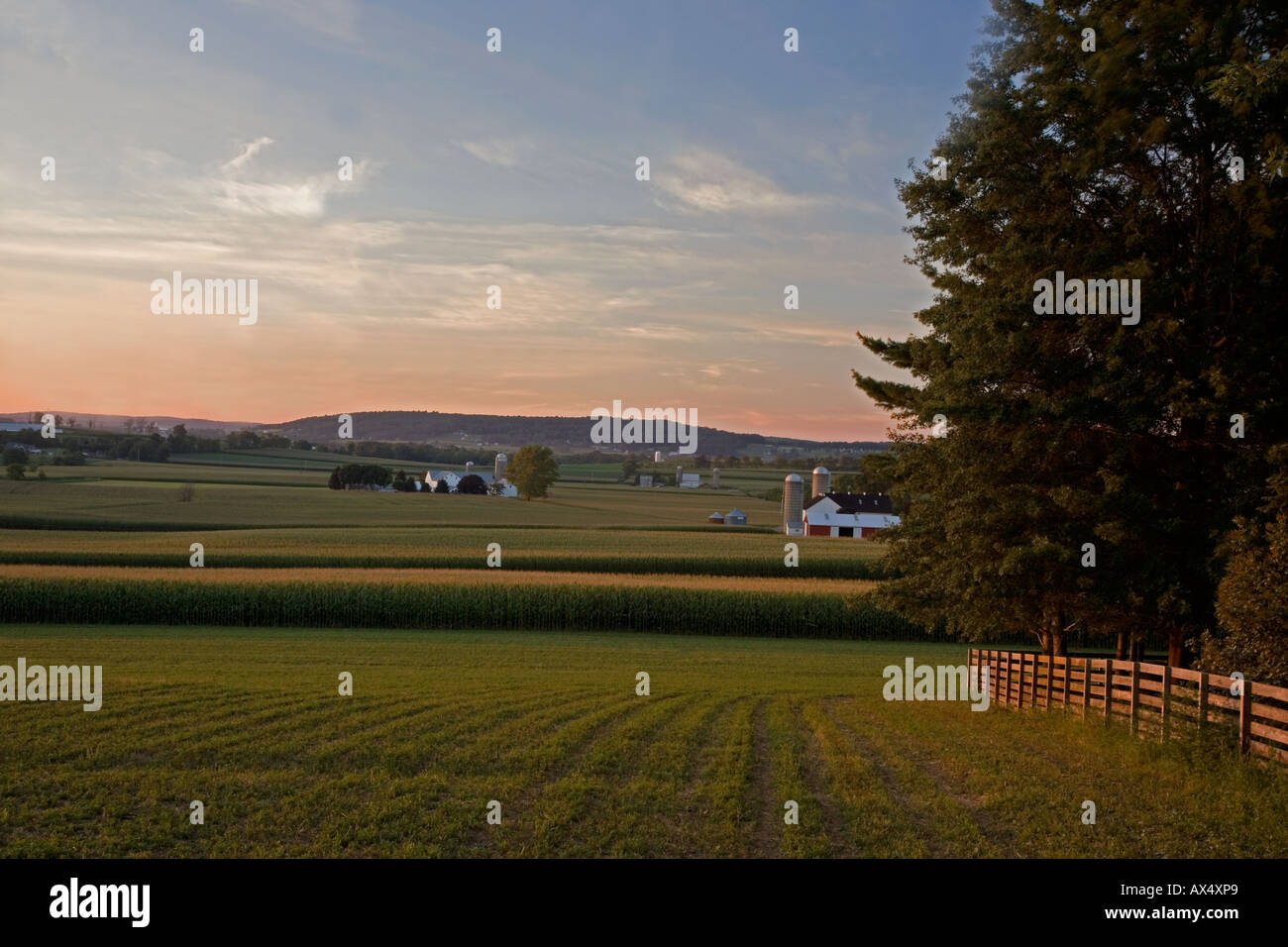 Fattorie Amish Foto Stock