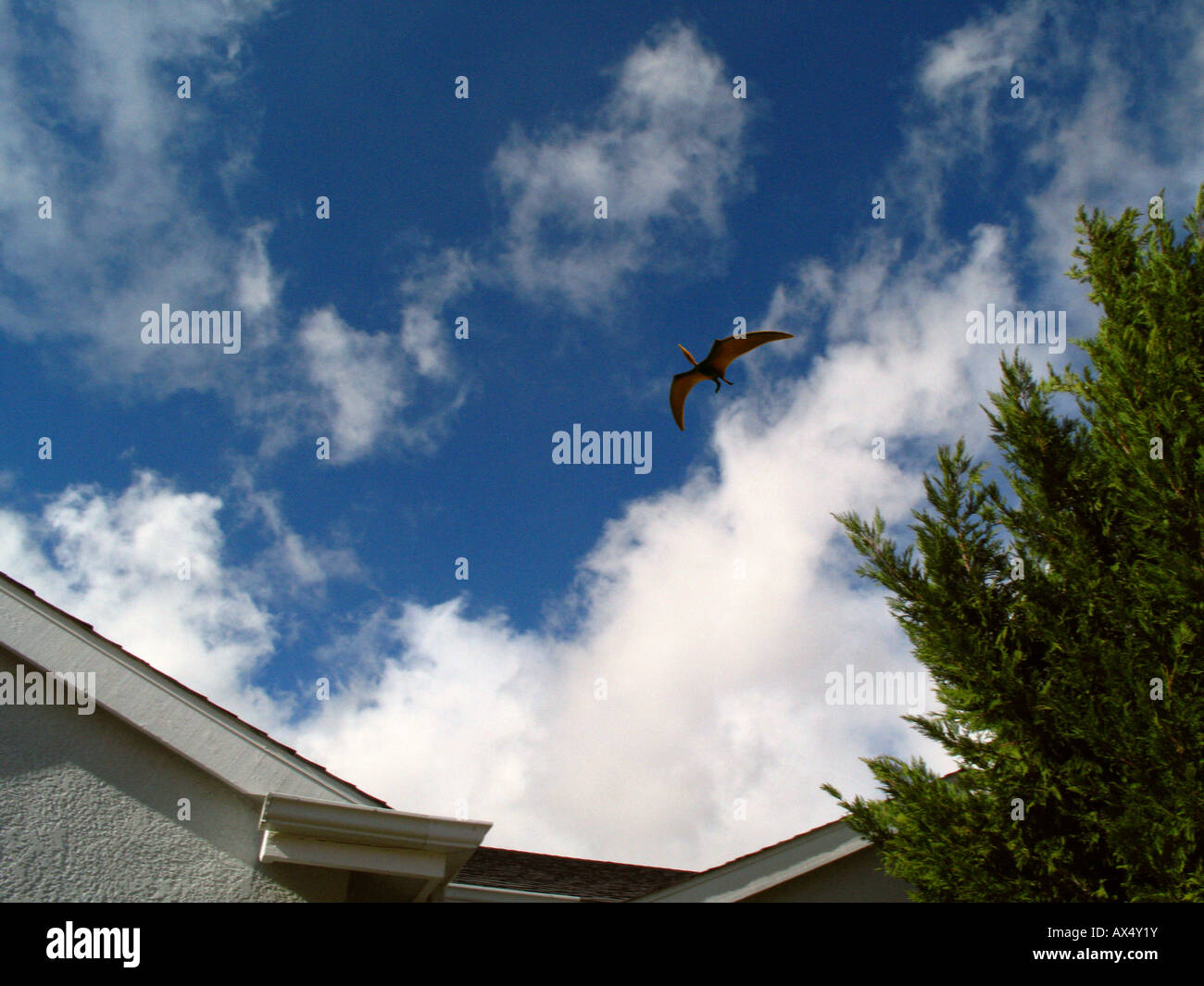 Photo-Illustration della moderna Pterodactyl Foto Stock