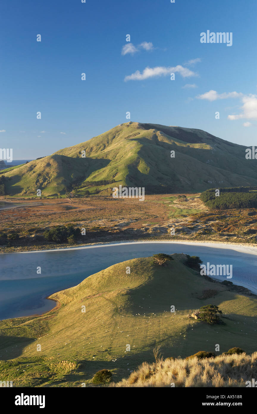 Ingresso Hoopers e Mt Charles Penisola di Otago vicino a Dunedin Isola del Sud della Nuova Zelanda Foto Stock