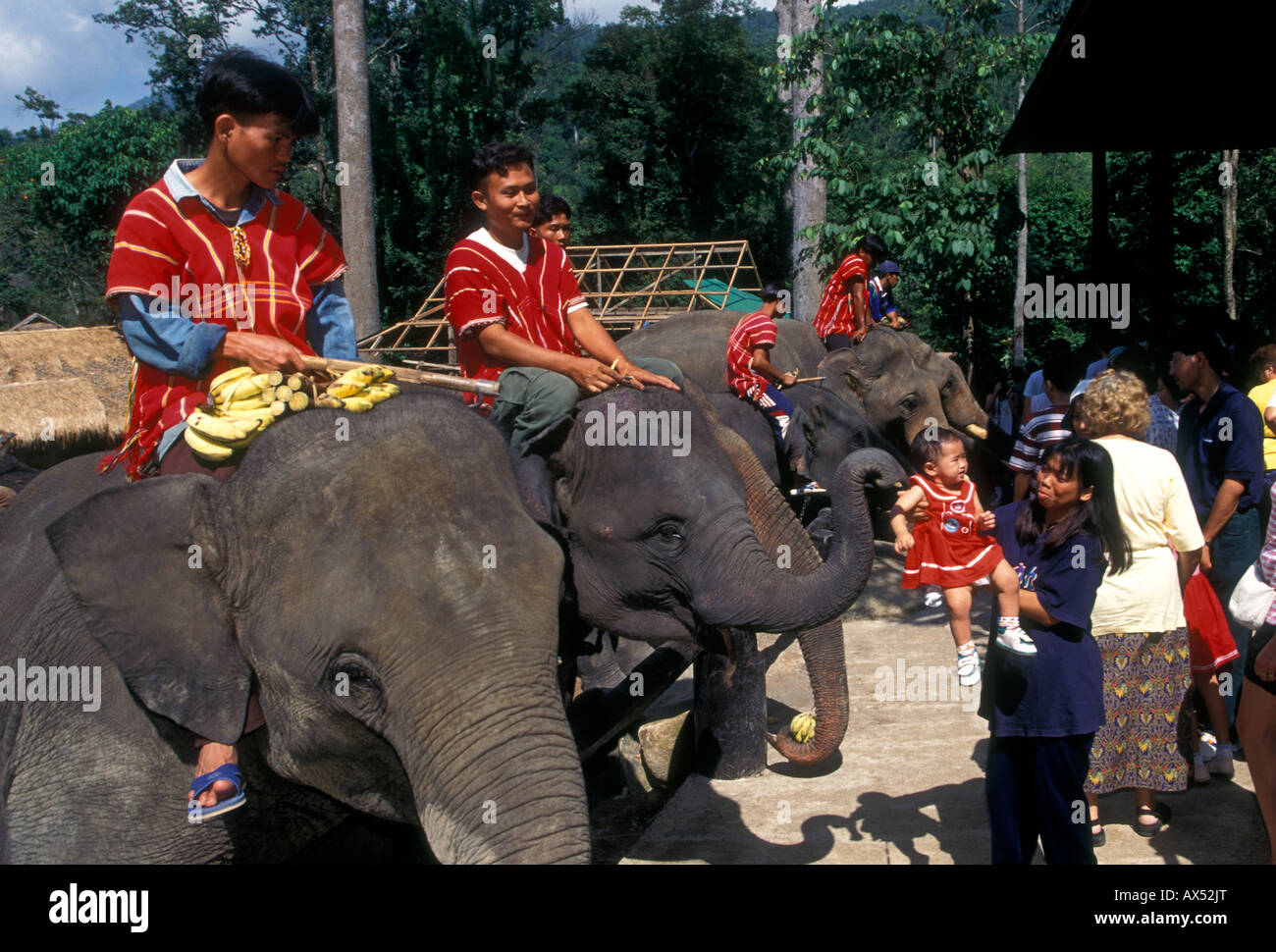 Gli uomini Thai, mahouts, equitazione elefanti, turisti, il Campo degli Elefanti di Mae Sa, Chiang Mai e Chiang Mai Provincia, Thailandia, Sud-est asiatico, in Asia Foto Stock