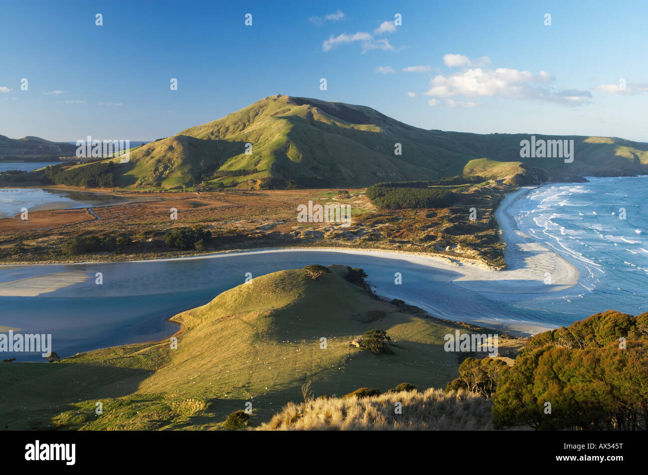 Ingresso Hoopers Allans Beach e Mt Charles Penisola di Otago vicino a Dunedin Isola del Sud della Nuova Zelanda Foto Stock