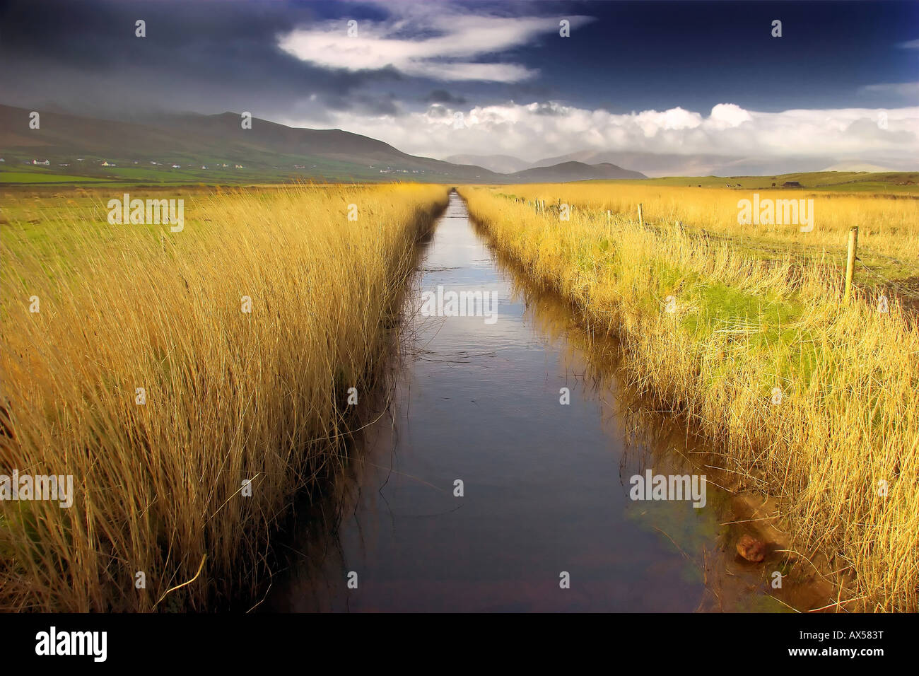 Fiume e canne af colline ai piedi delle montagne di kerry Foto Stock