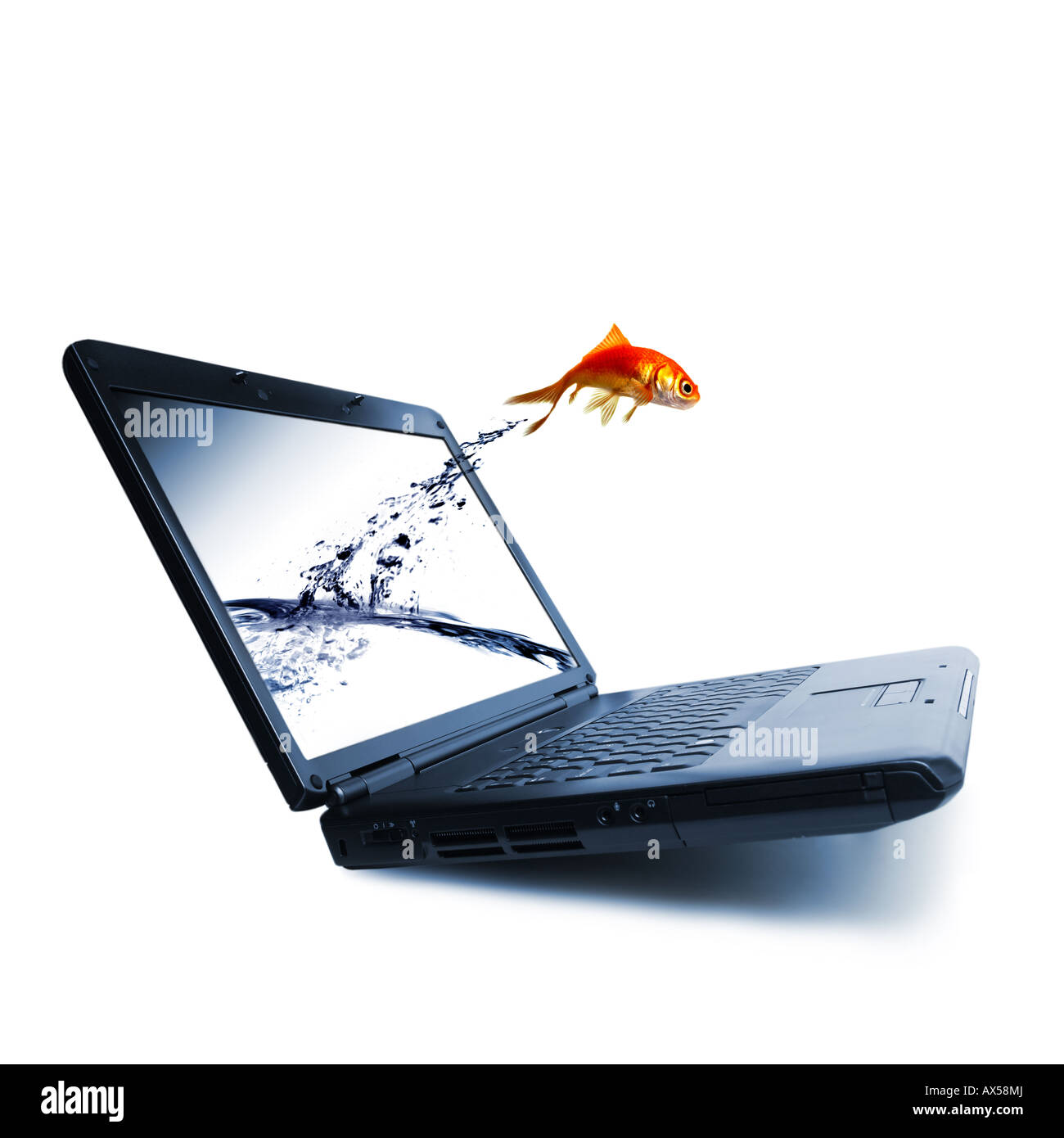 Goldfish saltare fuori del monitor Foto Stock