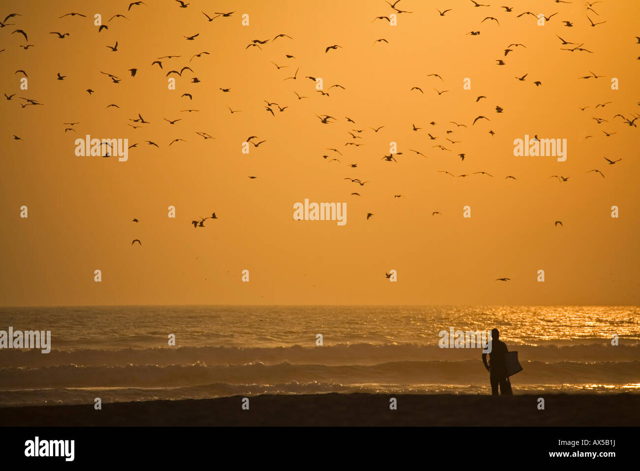 Tramonto sul mare con i gabbiani e un surfista sulla spiaggia da Arica, pacifico, a nord del Cile, Sud America Foto Stock