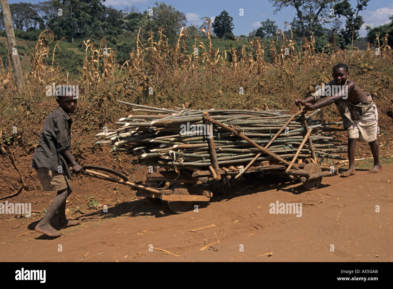 I ragazzi di spingere un carrello con pali utilizzati per la costruzione della casa, Moshi, Tanzania. Foto Stock