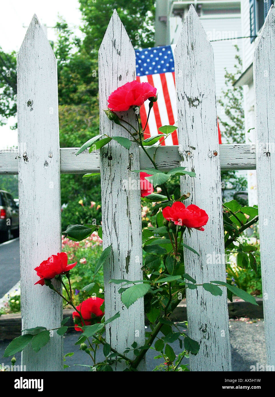 White Picket Fence rose rosse e bandiera americana il 4 luglio a Rockport, Massachusetts Foto Stock