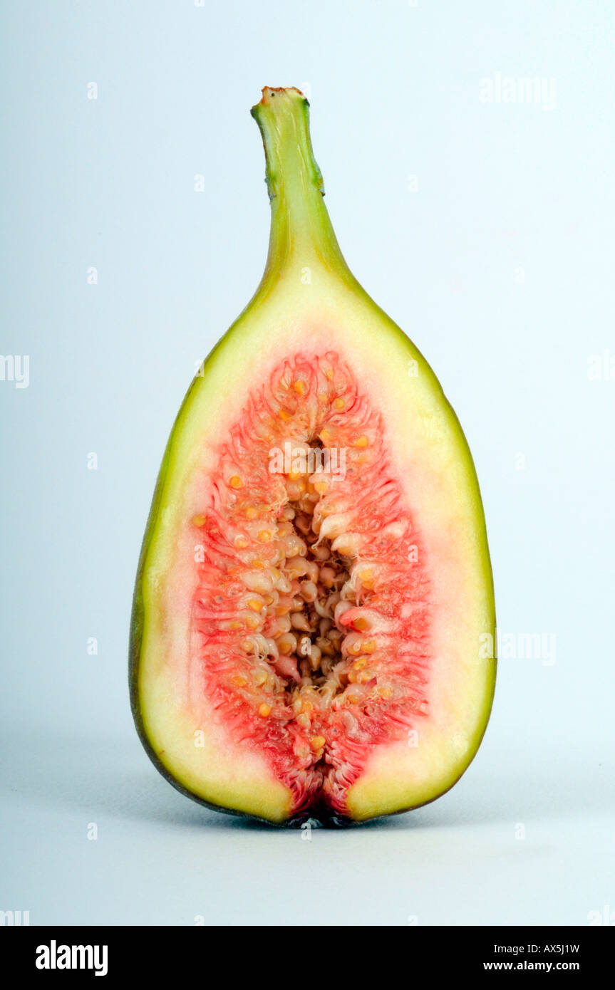 Cut-aprire fig (Ficus carica) Foto Stock