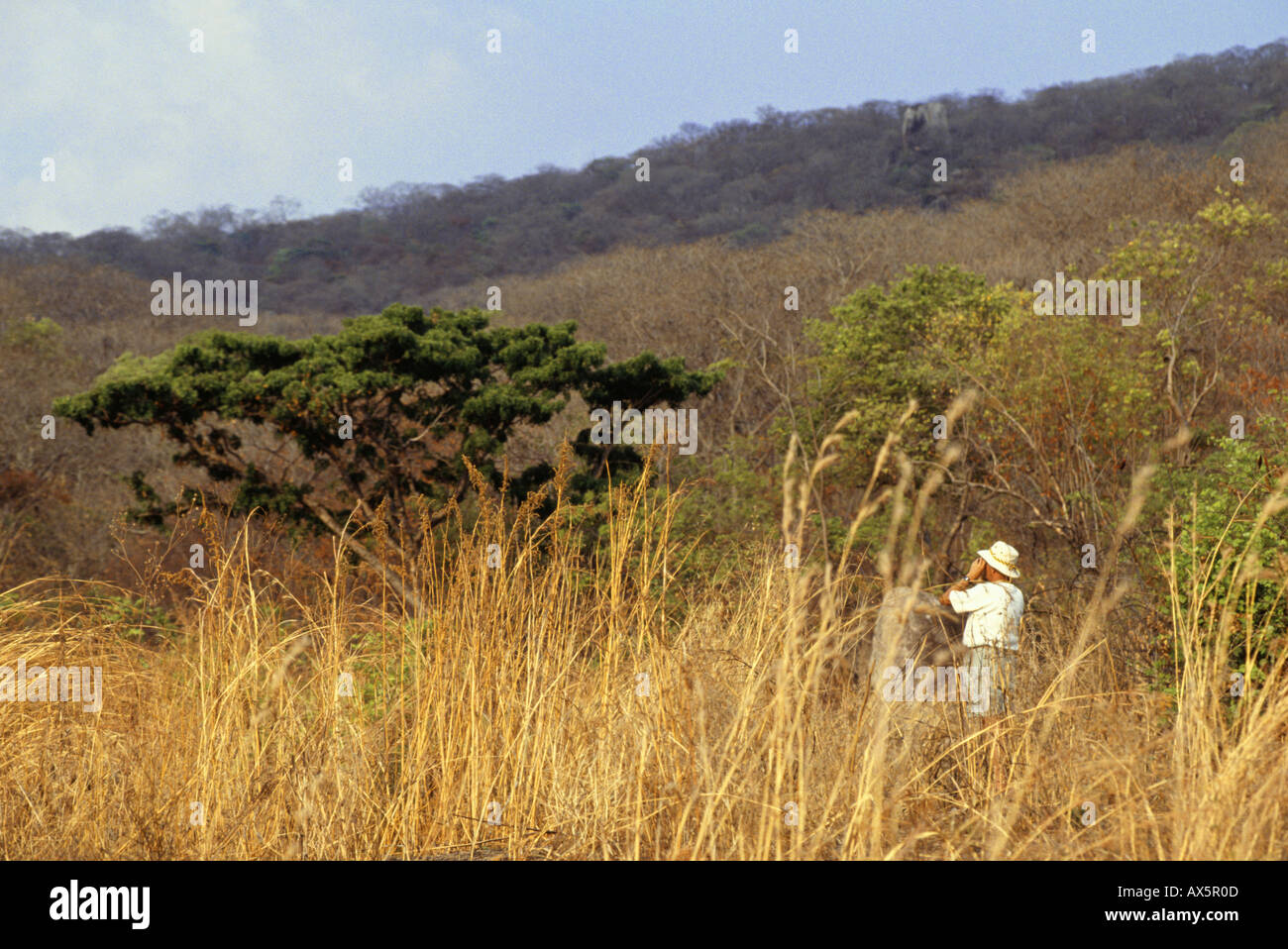 Lupoli, Tanzania. Turisti in Safari cerca attraverso il binocolo alla fauna selvatica. Foto Stock