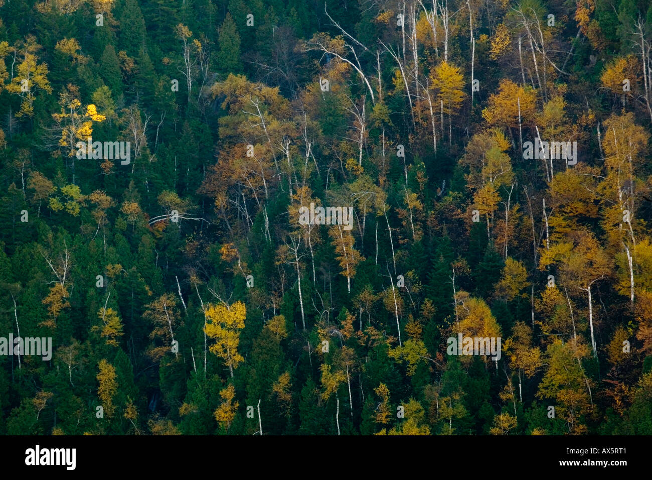 Autunno in Keene Valley alti picchi Regione Montagne Adirondack New York Foto Stock