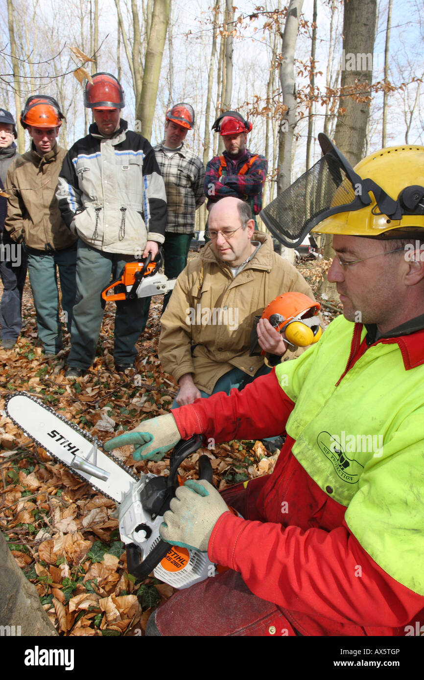 Chainsaw corso i partecipanti la pratica in una foresta Foto Stock