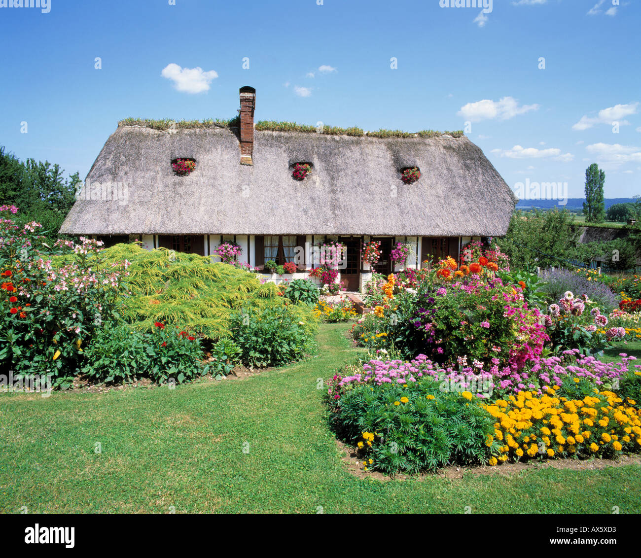 Francia Normandia MARAIS-nonio tipici cottage con il tetto di paglia Foto Stock