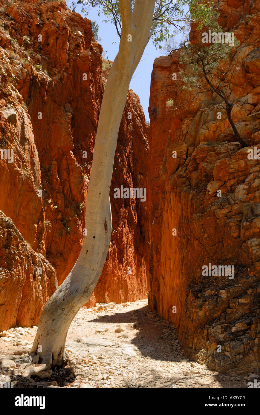 Canyon ingresso, Standley Chasm, West Macdonnell Ranges, Territorio del Nord, l'Australia Foto Stock