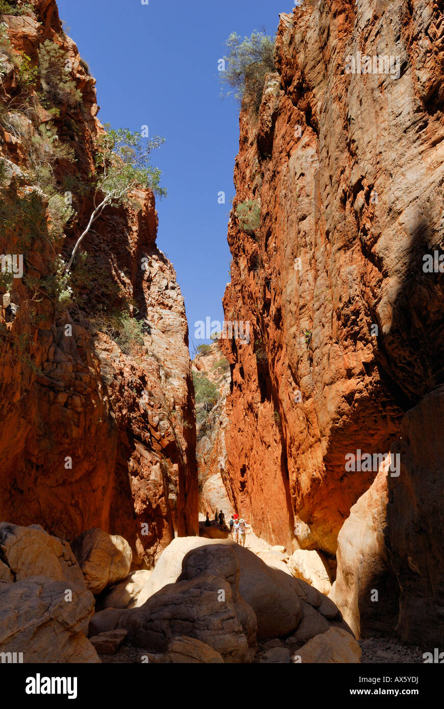 Canyon percorso, Standley Chasm, West Macdonnell Ranges, Territorio del Nord, l'Australia Foto Stock