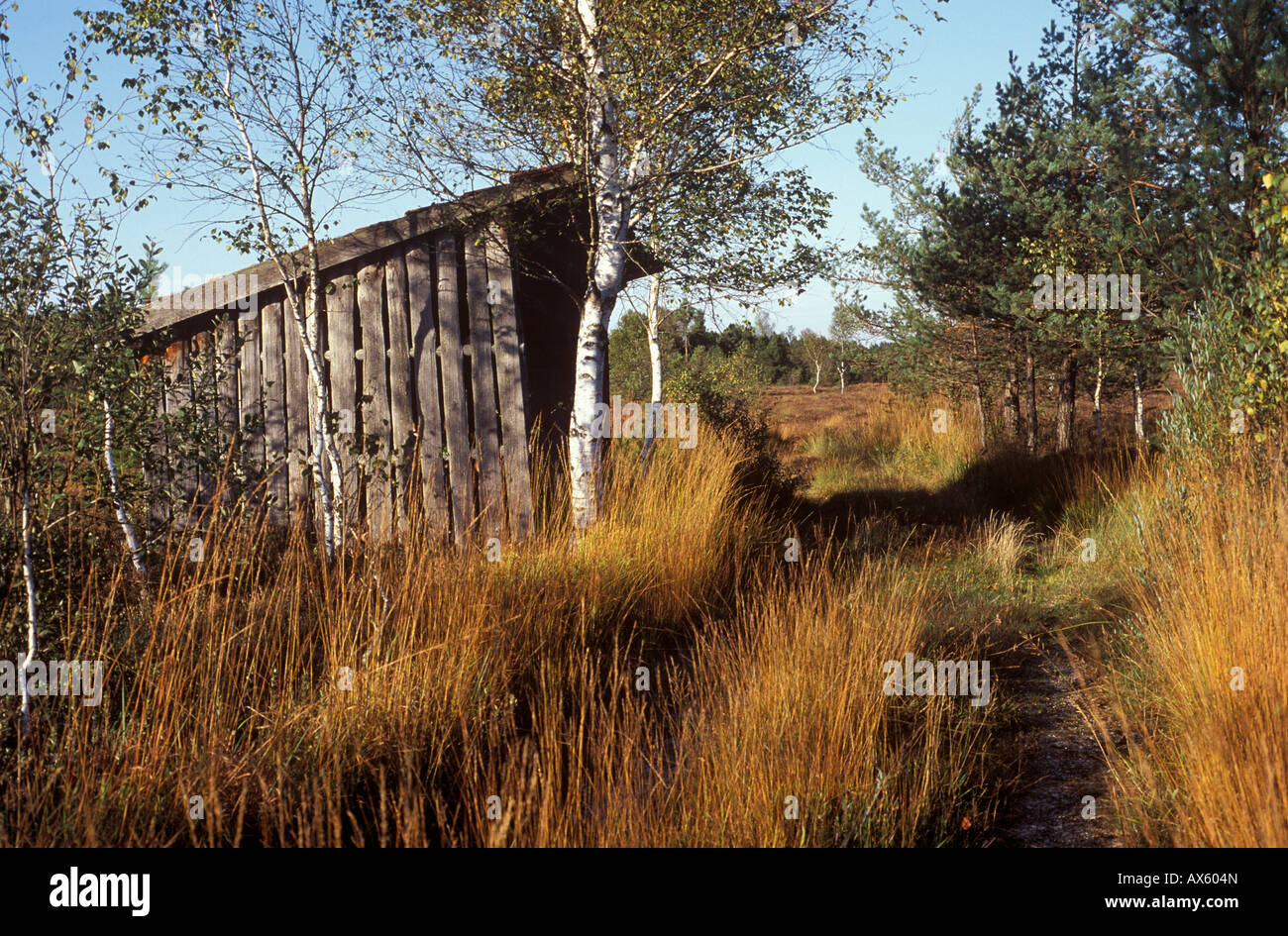 Capanna di torba, Koenigsdorfer Moor, Koenigsdorf, Alta Baviera, Baviera, Germania, Europa Foto Stock