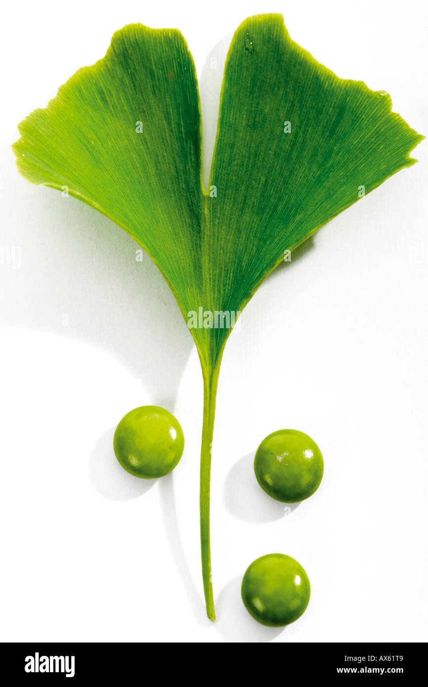 Foglie di Ginkgo e pillole, close-up Foto Stock